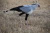 DSC1_0006.JPG