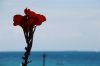 DSC_0545.JPG