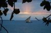 DSC_0771.JPG