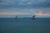 DSC_0773.JPG